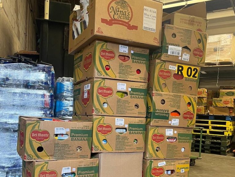 whatsapp image 2025 02 26 at 06.29.19